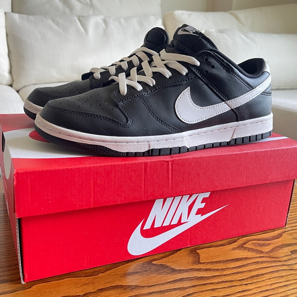 NIKE Dunk Low Retro 10
